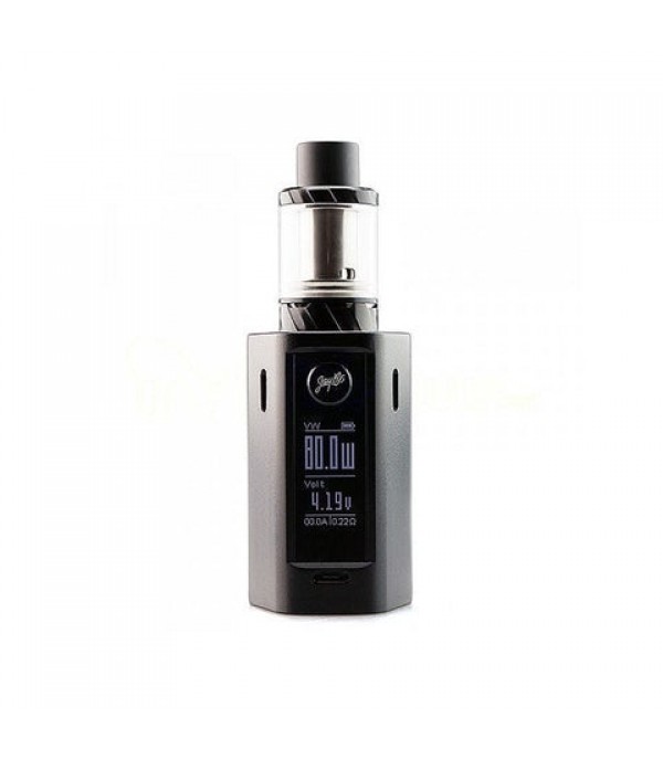 Wismec Reuleaux RX Mini 80W TC Kit by Jay Bo Designs