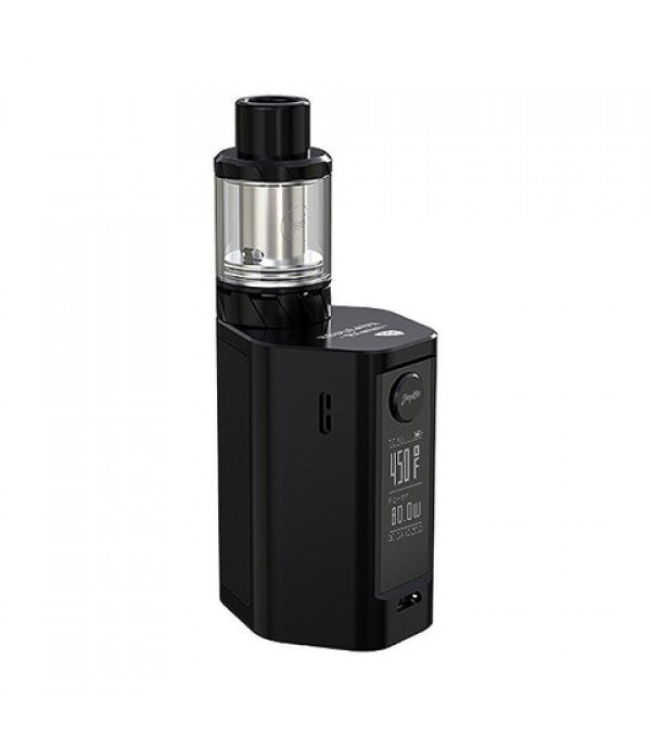 Wismec Reuleaux RX Mini 80W TC Kit by Jay Bo Designs